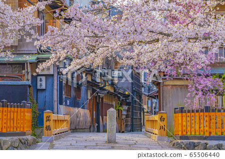 Kyoto Spring Gion Shirakawa Tatsuhashi Kyoto Spring Gion Shirakawa Tatsuhashi 65506440