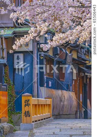 Kyoto Spring Gion Shirakawa Tatsuhashi Kyoto Spring Gion Shirakawa Tatsuhashi 65506443