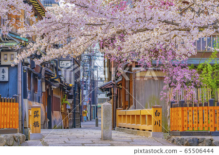 Kyoto Spring Gion Shirakawa Tatsuhashi Kyoto Spring Gion Shirakawa Tatsuhashi 65506444