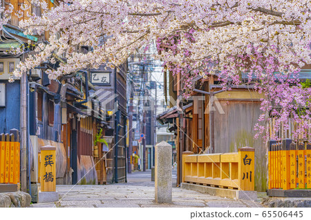 Kyoto Spring Gion Shirakawa Tatsuhashi Kyoto Spring Gion Shirakawa Tatsuhashi 65506445