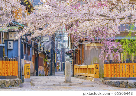 Kyoto Spring Gion Shirakawa Tatsuhashi Kyoto Spring Gion Shirakawa Tatsuhashi 65506448
