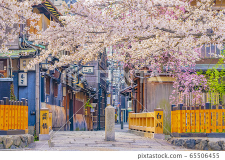 Kyoto Spring Gion Shirakawa Tatsuhashi Kyoto Spring Gion Shirakawa Tatsuhashi 65506455