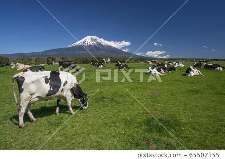 富士山牛肉 65507155
