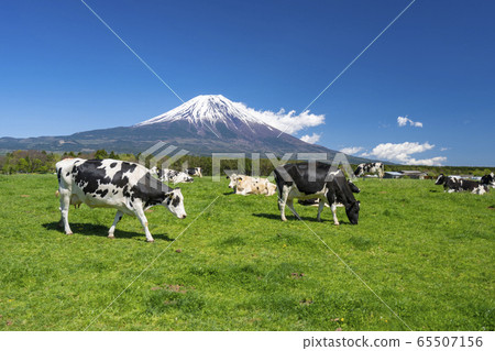 富士山牛肉 65507156
