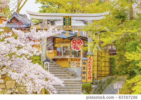 京都春天地主神社 京都春天地主神社 65507286