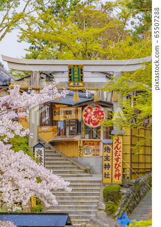 京都春天地主神社 京都春天地主神社 65507288