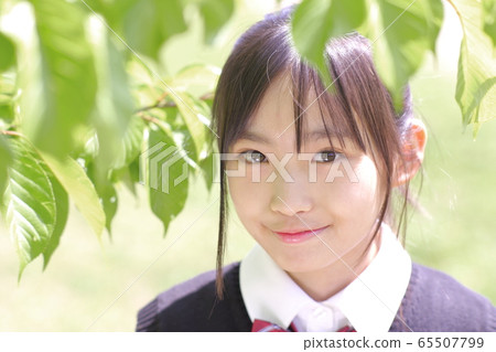 Fresh green back student early summer 65507799