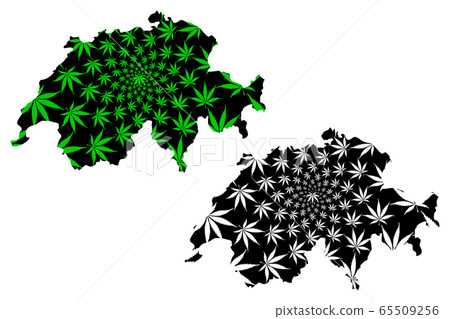 Switzerland - map is designed cannabis leaf 65509256