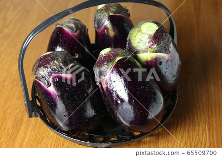 Water eggplant 1 65509700
