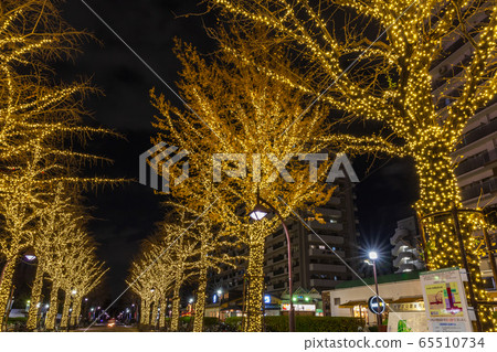 東京丘陵公園夜景的照明 65510734