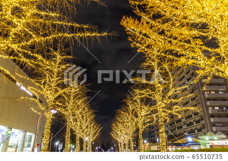 東京丘陵公園夜景的照明 65510735