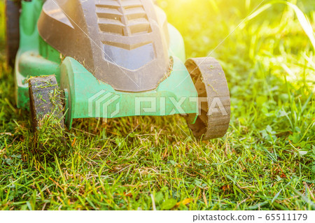 Lawn mower cutting green grass in backyard Lawn mower cutting green grass in backyard 65511179