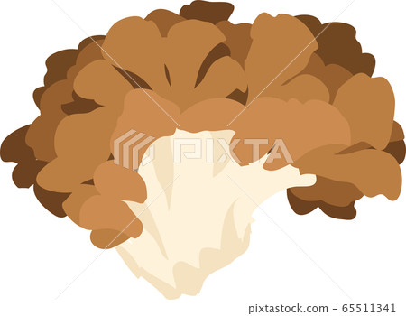 Illustration material Maitake, Maitake, Mushroom, Mushroom, Wild vegetables, Autumn cuisine vector Illustration material Maitake, Maitake, Mushroom, Mushroom, Wild vegetables, Autumn cuisine vector 65511341