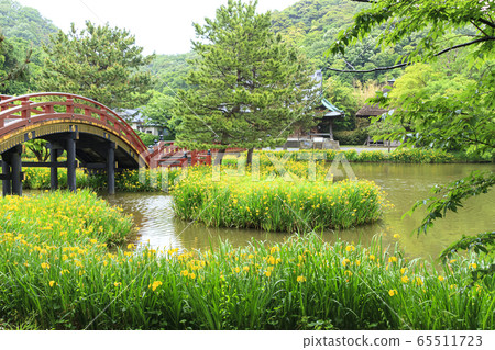 Shomeiji Temple (early summer) Shomeiji Temple (early summer) 65511723