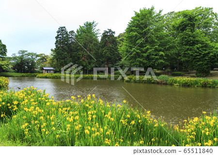 Shomeiji Temple (early summer) 65511840
