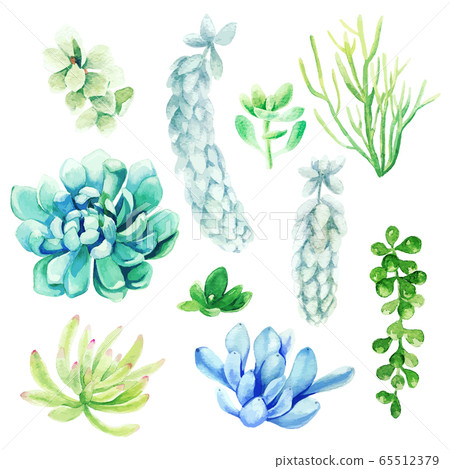 Watercolor set of bright hand drawn succulents, hand drawn Watercolor set of bright hand drawn succulents, hand drawn 65512379