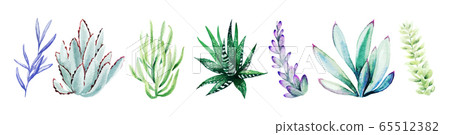 Watercolor set of bright hand drawn succulents 65512382