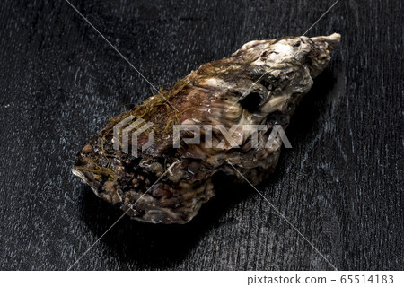 新鮮美味的牡蠣 新鮮美味的牡蠣 65514183