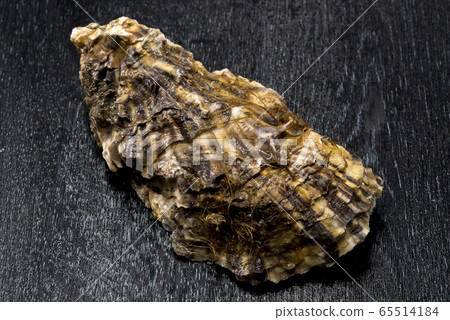 新鮮美味的牡蠣 新鮮美味的牡蠣 65514184