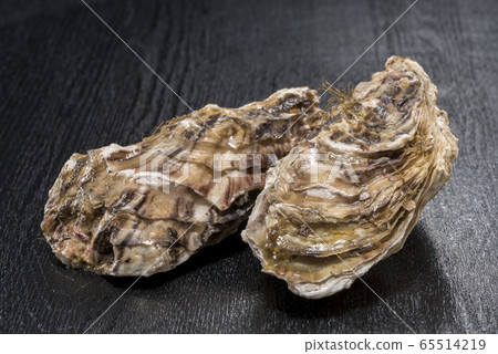 新鮮美味的牡蠣 65514219