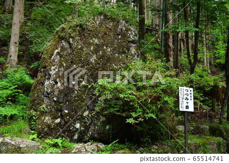 Kyoto Kifune Shrine Tsutsumigiwa 65514741
