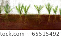 Sat_green_background_picture 65515492