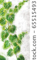 Ivy_green_background_picture 65515493