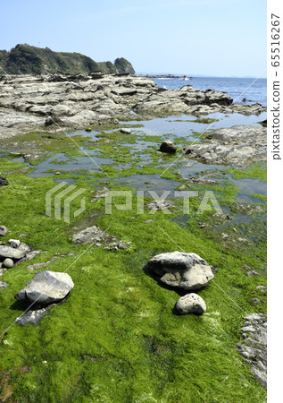 弓青森海邊 65516267