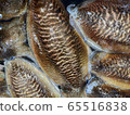 Crest squid 2 65516838