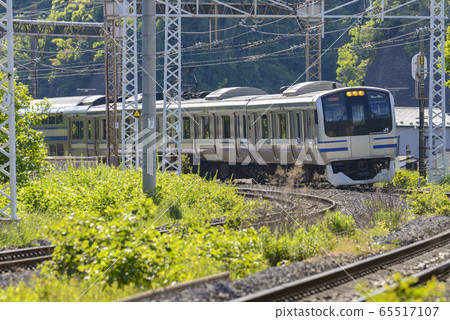 橫須賀線[E217系列]三浦半島附近的田浦站附近 65517107