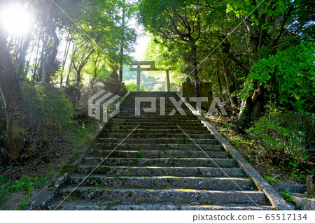 Stone steps of the shrine 65517134