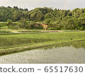 Countryside scenery Higuri 3 65517630