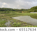 Countryside landscape 65517634