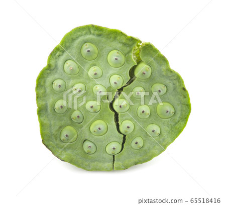 Lotus Seed Shower an isolated on white background 65518416