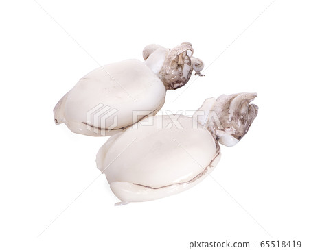 Fresh squid an isolated on white background with Fresh squid an isolated on white background with 65518419