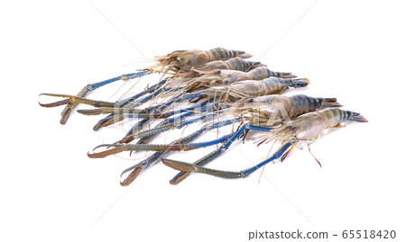 Prawn or tiger shrimp an isolated on white background, River shrimp or prawn raw on white background. Prawn or tiger shrimp an isolated on white background, River shrimp or prawn raw on white background. 65518420
