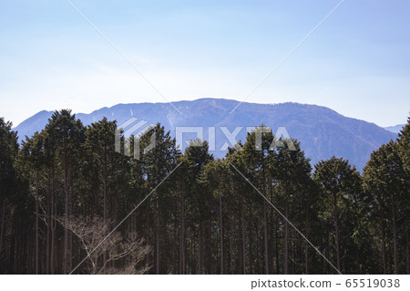 [山梨縣]南門山天文台的春天Minobu索道風光 65519038