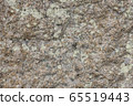Stone covered with lichen. 65519443