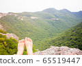 Summer, vacation, freedom. 65519447