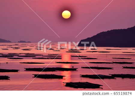 In the morning 65519874