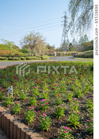 大宮花之岡in公園en玉市 大宮花之岡in公園en玉市 65519898