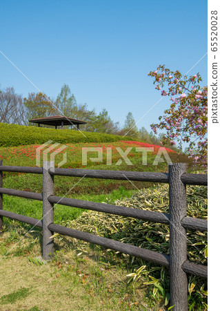 Omiya Hananooka Norin Koen Spring Fresh Green Saitama City 65520028