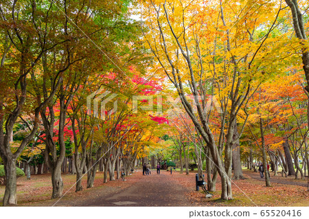 [Hokkaido Hakodate] Kosukien is a full-scale "landscape garden" that was built by the Iwafune family as a villa from around 1891. 65520416