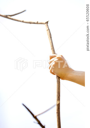 A person with a long branch, a person with a tree branch and a copy space or a cane A person with a long branch, a person with a tree branch and a copy space or a cane 65520608