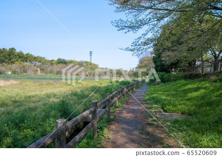 木板路春季新鮮綠色Sa玉市 木板路春季新鮮綠色Sa玉市 65520609