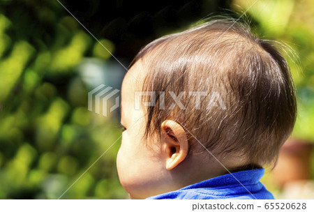 嬰兒的枕骨或嬰兒的個人資料 嬰兒的枕骨或嬰兒的個人資料 65520628