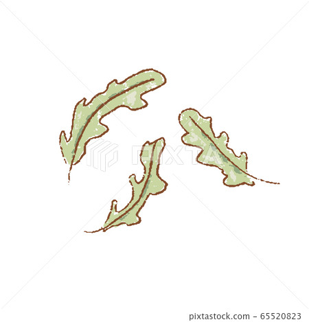 Fresh raw Ripe green fresh rucola leaves coolinary 65520823