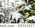 一朵雪花 65521017