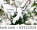 一朵雪花 65521018