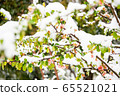 一朵雪花 65521021